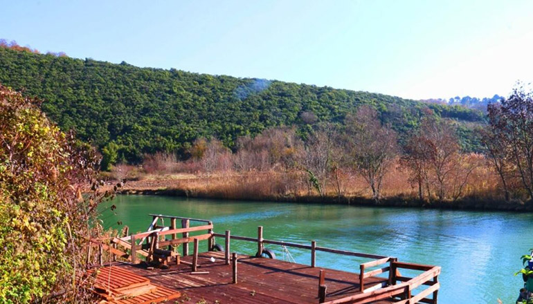 ağva